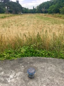 The upper waiting basin is now a field.