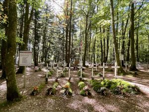 The cemetery amongst the forest.