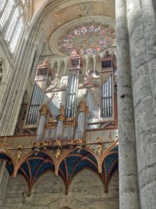The organ