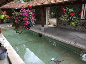 Lots of flowers and crystal-clear water