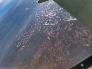 The Great Victoria Desert (SA)
