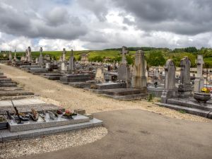 Tidy arrangement of graves