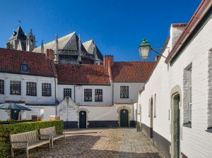 The white walls of the houses and the doors into the little houses